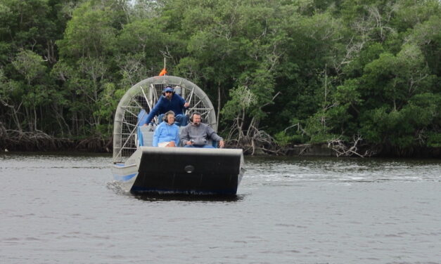 Everglades National Park – Airboats, aligatory i rajd przez mangrowce