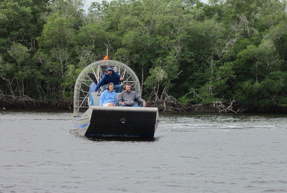 Everglades National Park – Airboats, aligatory i rajd przez mangrowce