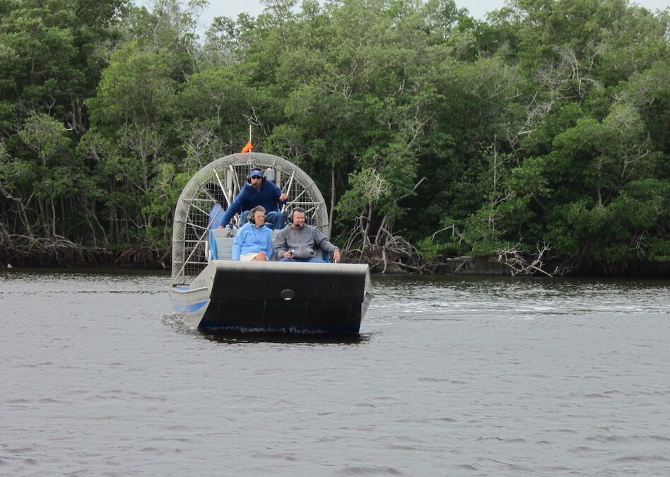 Everglades National Park – Airboats, aligatory i rajd przez mangrowce