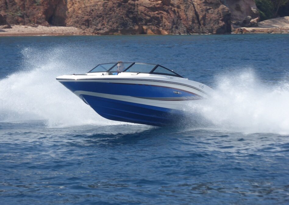 Sea Ray – perła w koronie Brunswick Marine